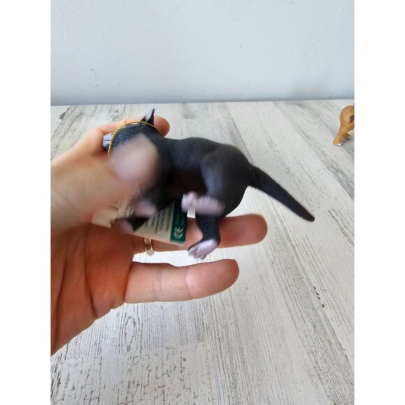 Tasmanian‎ devil toy figurine science nature LTD figure - Picture 5 of 7